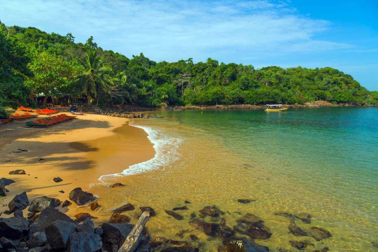 Jungle beach